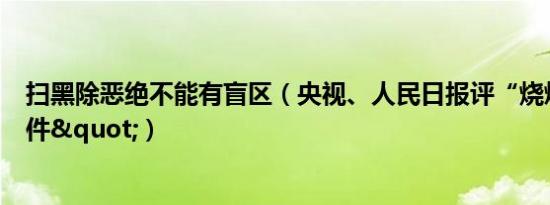 扫黑除恶绝不能有盲区（央视、人民日报评“烧烤店打人事件"）