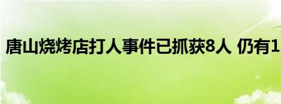 唐山烧烤店打人事件已抓获8人 仍有1人在逃