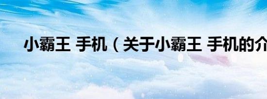 小霸王 手机（关于小霸王 手机的介绍）
