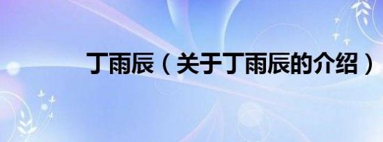丁雨辰（关于丁雨辰的介绍）