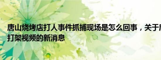 唐山烧烤店打人事件抓捕现场是怎么回事，关于唐山烧烤店打架视频的新消息
