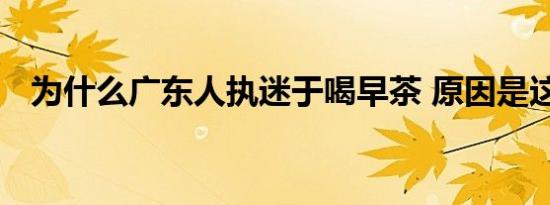 为什么广东人执迷于喝早茶 原因是这样的