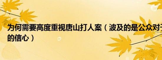 为何需要高度重视唐山打人案（波及的是公众对于平安中国的信心）