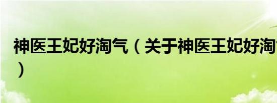 神医王妃好淘气（关于神医王妃好淘气的介绍）