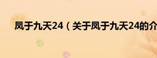凤于九天24（关于凤于九天24的介绍）