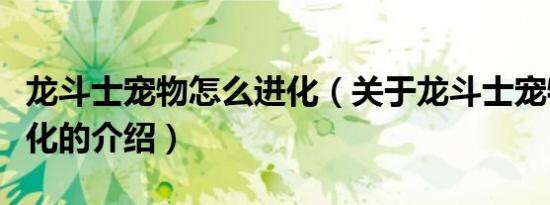 龙斗士宠物怎么进化（关于龙斗士宠物怎么进化的介绍）