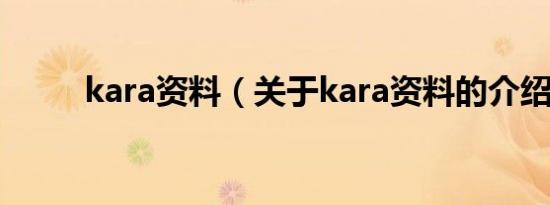 kara资料（关于kara资料的介绍）