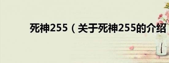 死神255（关于死神255的介绍）