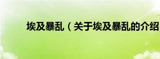 埃及暴乱（关于埃及暴乱的介绍）