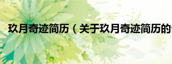 玖月奇迹简历（关于玖月奇迹简历的介绍）