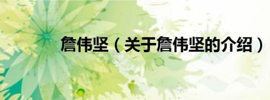 詹伟坚（关于詹伟坚的介绍）