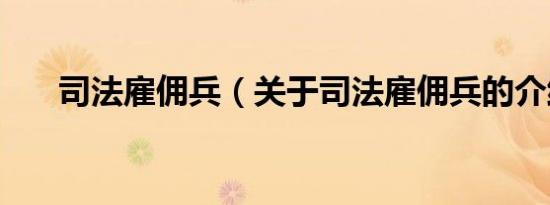 司法雇佣兵（关于司法雇佣兵的介绍）