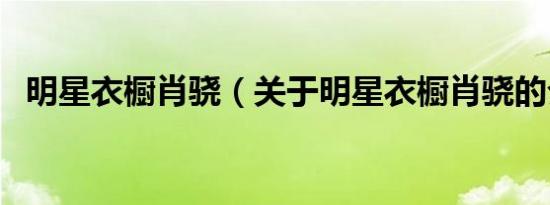 明星衣橱肖骁（关于明星衣橱肖骁的介绍）