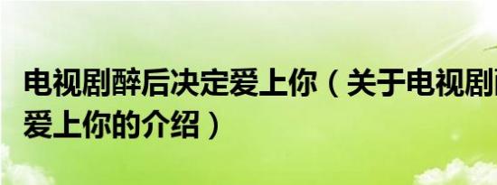 电视剧醉后决定爱上你（关于电视剧醉后决定爱上你的介绍）