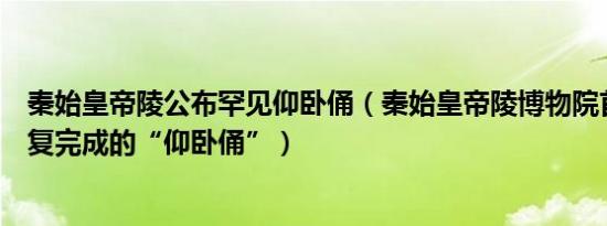 秦始皇帝陵公布罕见仰卧俑（秦始皇帝陵博物院首次公布修复完成的“仰卧俑”）