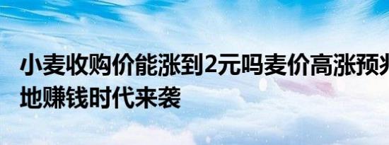 小麦收购价能涨到2元吗麦价高涨预兆什么 种地赚钱时代来袭