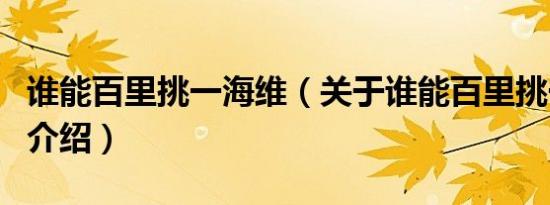 谁能百里挑一海维（关于谁能百里挑一海维的介绍）