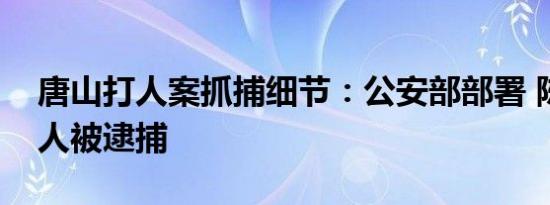 唐山打人案抓捕细节：公安部部署 陈继志等人被逮捕