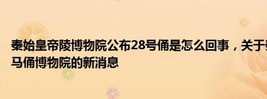 秦始皇帝陵博物院公布28号俑是怎么回事，关于秦始皇陵兵马俑博物院的新消息