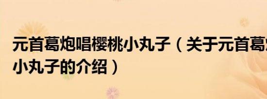 元首葛炮唱樱桃小丸子（关于元首葛炮唱樱桃小丸子的介绍）