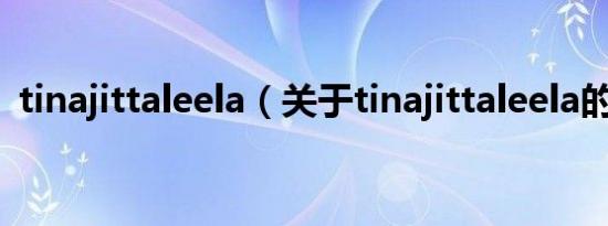 tinajittaleela（关于tinajittaleela的介绍）