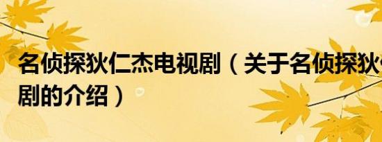 名侦探狄仁杰电视剧（关于名侦探狄仁杰电视剧的介绍）