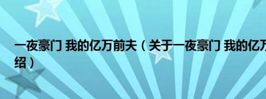 一夜豪门 我的亿万前夫（关于一夜豪门 我的亿万前夫的介绍）