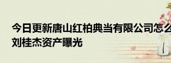 今日更新唐山红柏典当有限公司怎么样 老板刘桂杰资产曝光