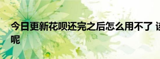 今日更新花呗还完之后怎么用不了 该怎么办呢