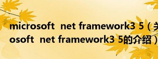 microsoft  net framework3 5（关于microsoft  net framework3 5的介绍）