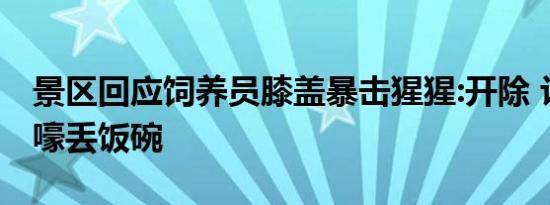 景区回应饲养员膝盖暴击猩猩:开除 让猩猩哀嚎丢饭碗