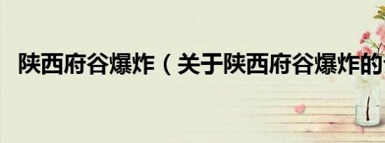 陕西府谷爆炸（关于陕西府谷爆炸的介绍）