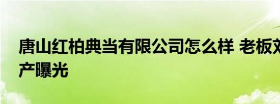 唐山红柏典当有限公司怎么样 老板刘桂杰资产曝光