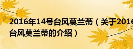 2016年14号台风莫兰蒂（关于2016年14号台风莫兰蒂的介绍）