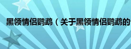 黑领情侣鹦鹉（关于黑领情侣鹦鹉的介绍）