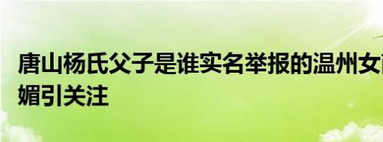 唐山杨氏父子是谁实名举报的温州女商人汪建媚引关注