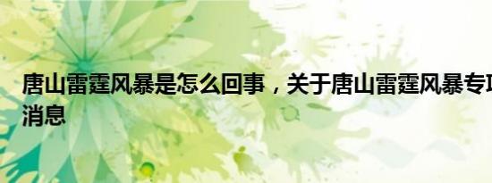 唐山雷霆风暴是怎么回事，关于唐山雷霆风暴专项行动的新消息