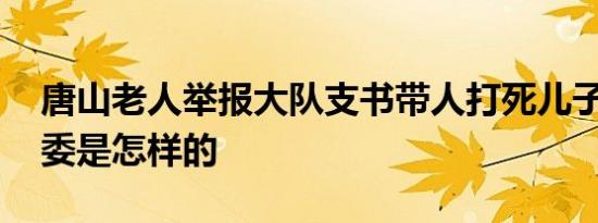 唐山老人举报大队支书带人打死儿子 事情原委是怎样的