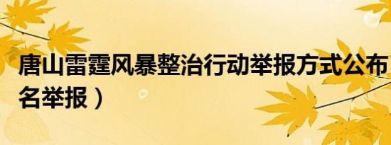 唐山雷霆风暴整治行动举报方式公布（提倡实名举报）