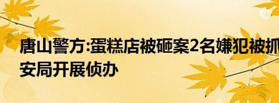 唐山警方:蛋糕店被砸案2名嫌犯被抓 丰南公安局开展侦办