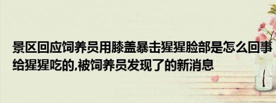 景区回应饲养员用膝盖暴击猩猩脸部是怎么回事，关于游客给猩猩吃的,被饲养员发现了的新消息