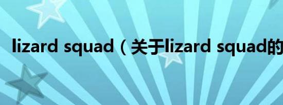 lizard squad（关于lizard squad的介绍）