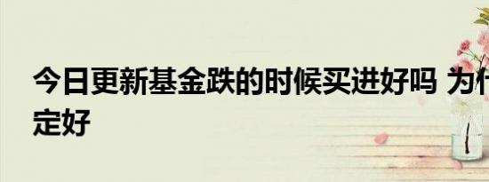 今日更新基金跌的时候买进好吗 为什么不一定好