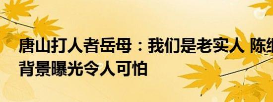 唐山打人者岳母：我们是老实人 陈继志身份背景曝光令人可怕
