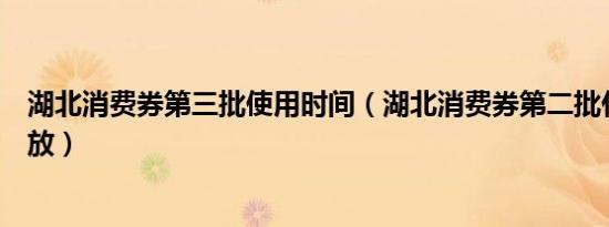 湖北消费券第三批使用时间（湖北消费券第二批什么时候发放）