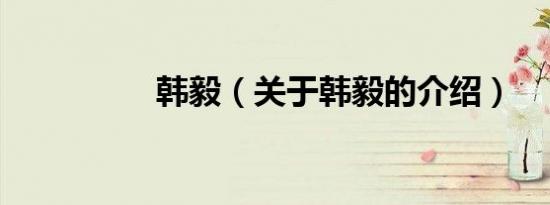 韩毅（关于韩毅的介绍）