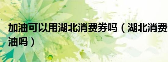 加油可以用湖北消费券吗（湖北消费券可以加油吗）