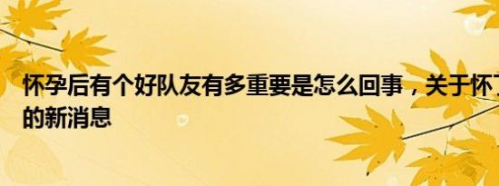 怀孕后有个好队友有多重要是怎么回事，关于怀了队友的崽的新消息