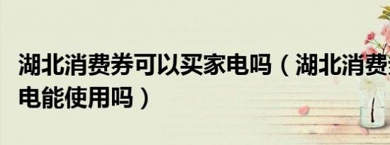 湖北消费券可以买家电吗（湖北消费券购买家电能使用吗）