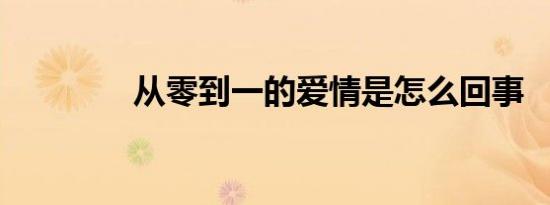 从零到一的爱情是怎么回事